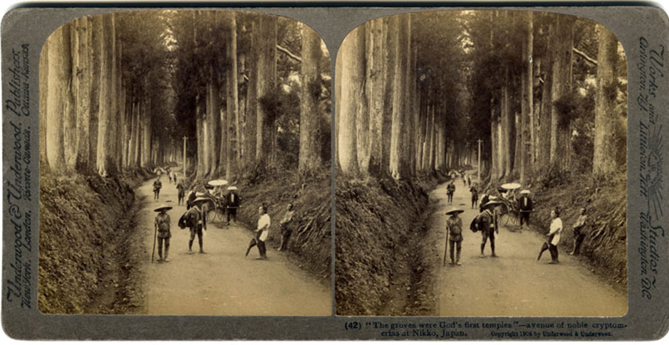 Albumina, stereoscopica Dono Luciano Cosso, 11.06.2002, Fototeca, inv. 190902 Civici Musei di Storia ed Arte, Trieste